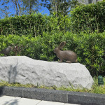 社區人行道-街道家具