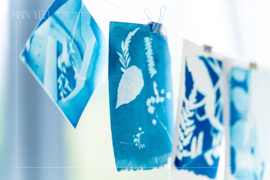 將明信片一字排開，藍與白的濃淡交織，映照出每位住戶獨特的創作築跡。