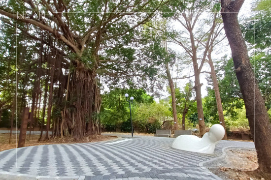 座落在座標N24.2041424°， E120.572827°、編號1313001老榕樹下的《樹下教室》，將大自然與土地融入藝術，如同一座美麗的生態島嶼。