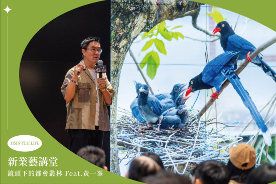 怪咖動物偵探-黃一峯 透過一張張有趣的影像及插畫，從都會叢林到婆羅洲雨林，分享觀察都會野生動物的習性故事，以及壯麗的動物生態。(圖為-台灣藍鵲)