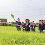 每逢秋旬，稻田阡陌相連，瀰漫著稻草與泥土的芬芳，成就了一串串飽滿稻穗，在秋收時節，一同感受來自大地的禮贊。