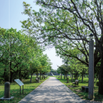 臺中都會公園位於大肚山臺地，面積88公頃，肩負著維護特殊自然景觀與環境的重要任務，並提供野生動、植物棲息環境，守護生物多樣性。