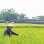 支持霧峰在地三代小農，友善耕作，堅持品質，嚴選品種，保留大地最純粹的溫柔。