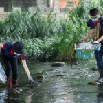 河中的前三名殺手──菸蒂、破碎塑膠袋、瓶蓋吸管，易被小魚小蝦或青蛙誤食。