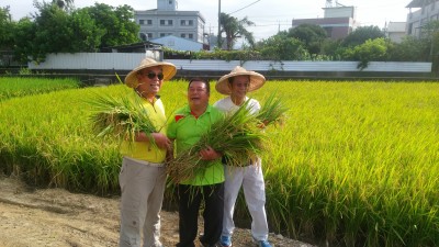 新業，心像一畝田