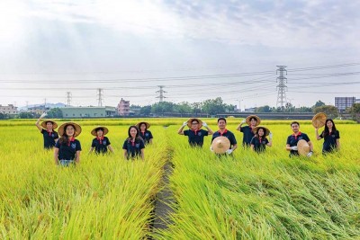 助小農契作12年 面積如文心森林公園