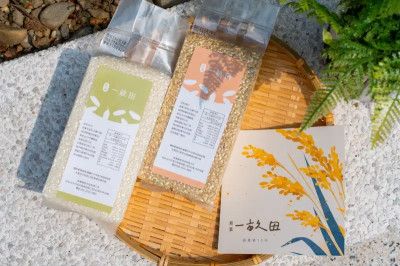 從一畝田到一座山 新業建設15年深耕永續