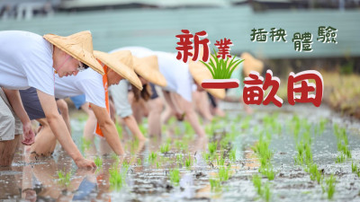 新業一畝田｜一日小農_插秧體驗